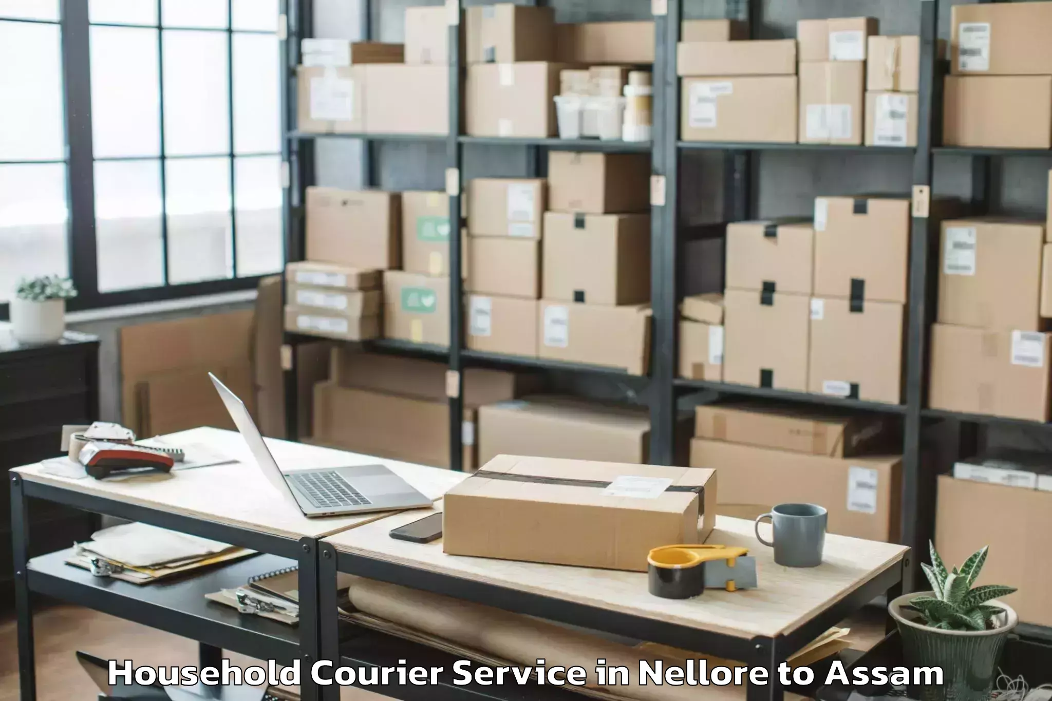 Comprehensive Nellore to Dibrugarh University Dibrugarh Household Courier